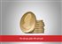طرح جدید بانک مرکزی برای بازار سکه